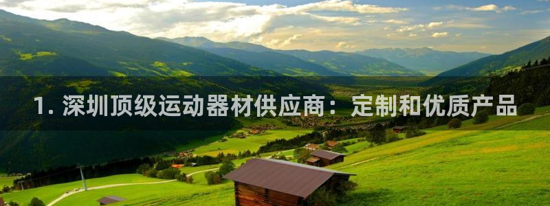 注册意昂3：1. 深圳顶级运动器材供应商：定制和优质