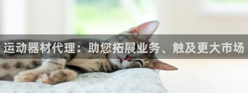 意昂体育3开户：运动器材代理：助您拓展业务、触及更大