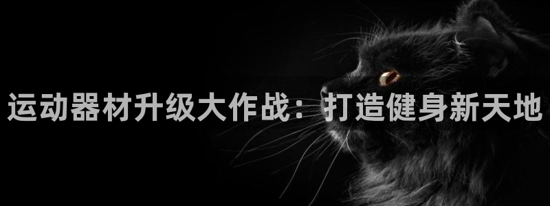 意昂体育3招商：运动器材升级大作战：打造健身新天地