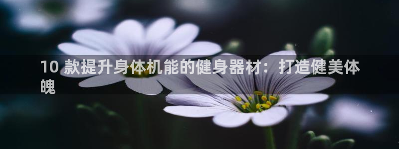意昂体育3联系电话：10 款提升身体机能的健身器材：