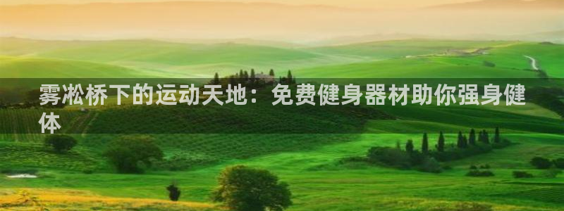 意昂体育3注册：雾凇桥下的运动天地：免费健身器材助你