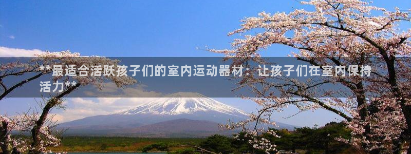 意昂3集团官网首页：**最适合活跃孩子们的室内运动器