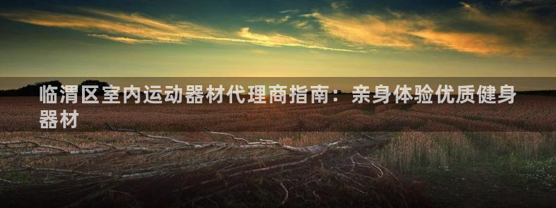 意昂体育3娱乐：临渭区室内运动器材代理商指南：亲身体