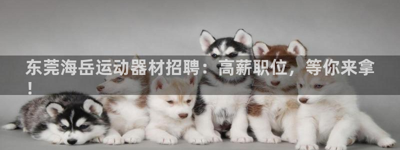 意昂3娱乐平台：东莞海岳运动器材招聘：高薪职位，等你