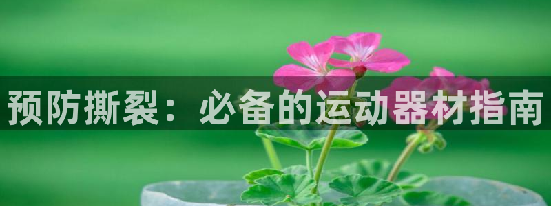 意昂体育3招商电话号码是多少号：预防撕裂：必备的运动