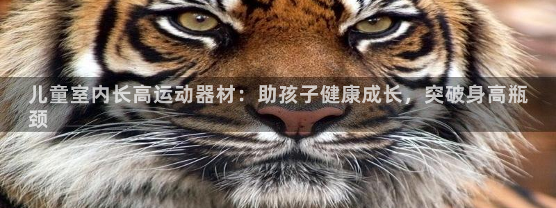 意昂3娱乐代理怎么样：儿童室内长高运动器材：助孩子健