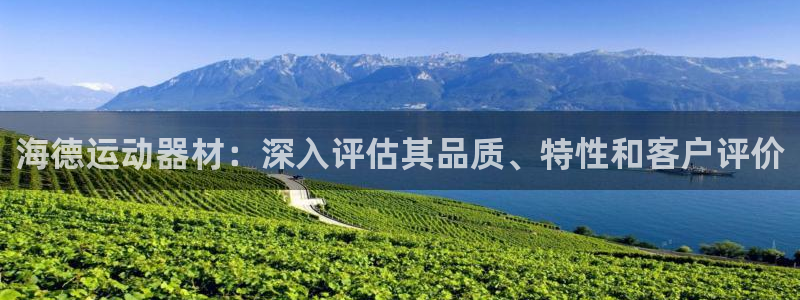 意昂3代理：海德运动器材：深入评估其品质、特性和客户