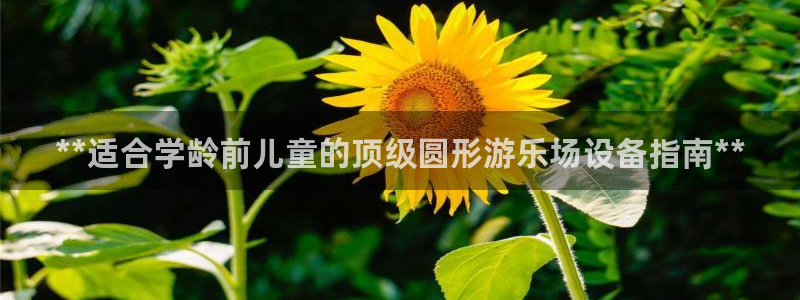 意昂3神州：**适合学龄前儿童的顶级圆形游乐场设备指