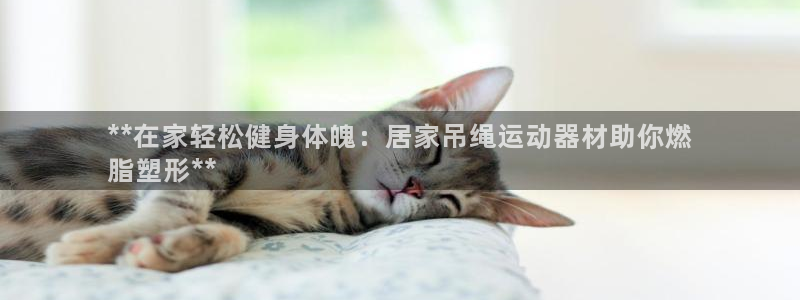 意昂3娱乐下载：**在家轻松健身体魄：居家吊绳运动器