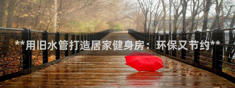 意昂体育3平台注册要钱吗安全吗：**用旧水管打造居家