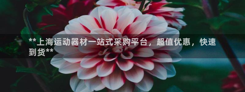 意昂体育3招商电话地址是多少：**上海运动器材一站式