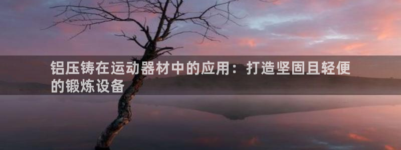 意昂体育3注册：铝压铸在运动器材中的应用：打造坚固且