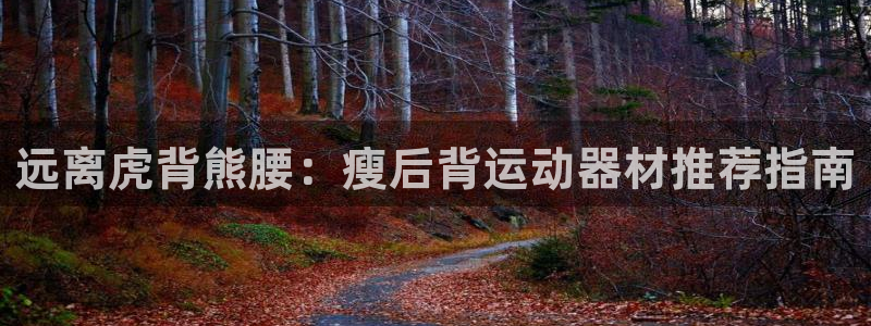 意昂平台体育：远离虎背熊腰：瘦后背运动器材推荐指南