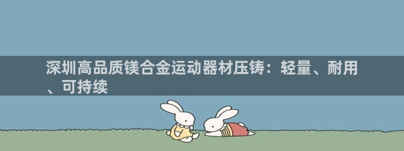 意昂3新能源：深圳高品质镁合金运动器材压铸：轻量、耐