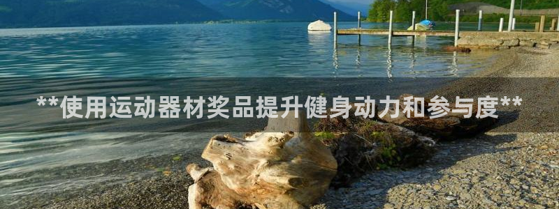 意昂平台体育：**使用运动器材奖品提升健身动力和参与