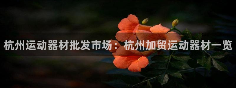 意昂3娱乐代理怎么样：杭州运动器材批发市场：杭州加贸