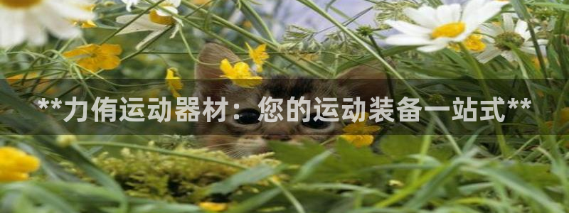 注册意昂3：**力侑运动器材：您的运动装备一站式**