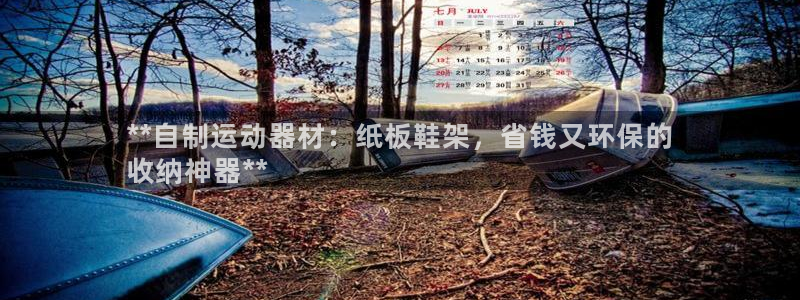 意昂体育3官方客服电话：**自制运动器材：纸板鞋架，