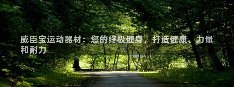 意昂3娱乐40996：威臣宝运动器材：您的终极健身，