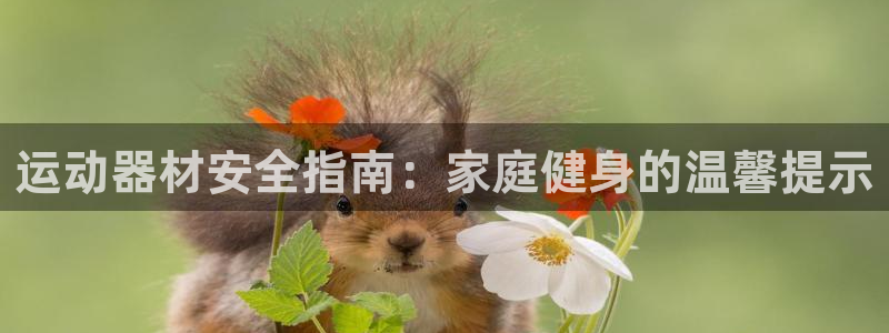 意昂体育3平台APP：运动器材安全指南：家庭健身的温
