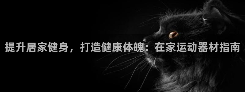 意昂3五金厂：提升居家健身，打造健康体魄：在家运动器