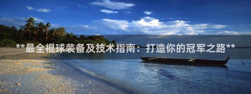 意昂体育3招商电话：**最全棍球装备及技术指南：打造