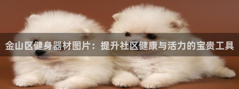 意昂体育3招商电话地址查询：金山区健身器材图片：提升