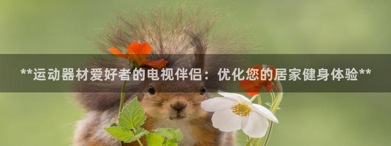 意昂体育3平台假的吗是真的吗：**运动器材爱好者的电