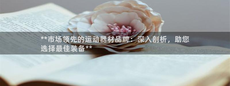 海南意昂体育3发展怎么样：**市场领先的运动器材品牌