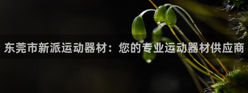 意昂3开户：东莞市新派运动器材：您的专业运动器材供应