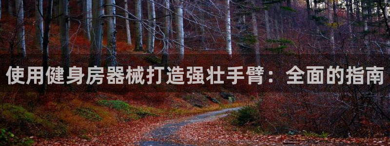 意昂体育3平台注册流程图：使用健身房器械打造强壮手臂