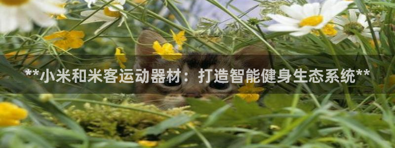 意昂体育3是干嘛的公司：**小米和米客运动器材：打造