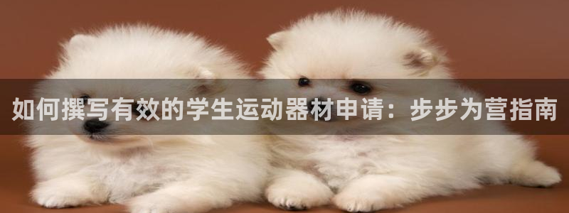 意昂3集团：如何撰写有效的学生运动器材申请：步步为营