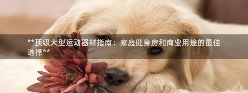 意昂3集团官网首页：**顶级大型运动器材指南：家庭健