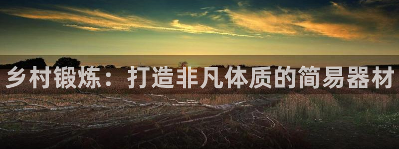 意昂体育3：乡村锻炼：打造非凡体质的简易器材