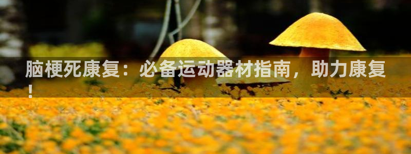 意昂体育3招商电话号码是多少啊：脑梗死康复：必备运动