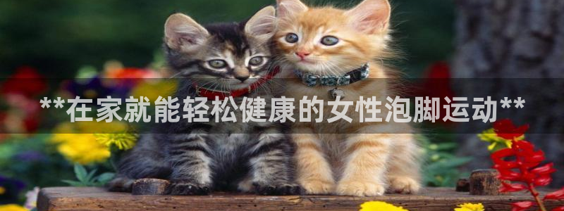 意昂体育3招商电话地址查询：**在家就能轻松健康的女