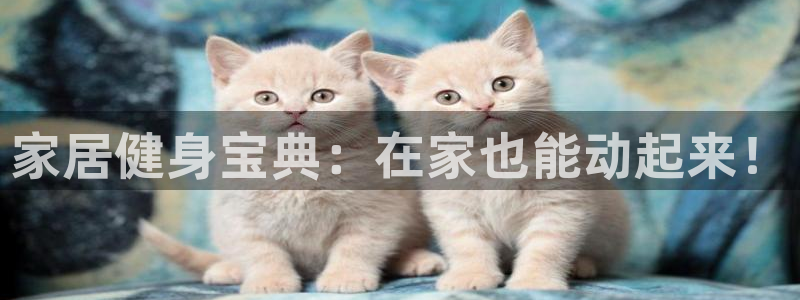 意昂体育3注册：家居健身宝典：在家也能动起来！