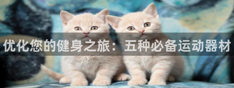 意昂3娱乐代理怎么样：优化您的健身之旅：五种必备运动