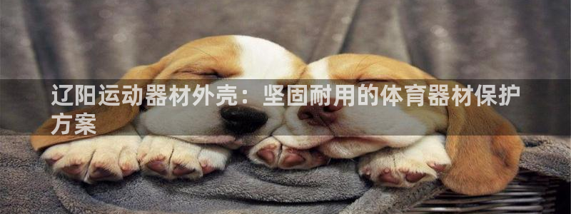 意昂3神州：辽阳运动器材外壳：坚固耐用的体育器材保护