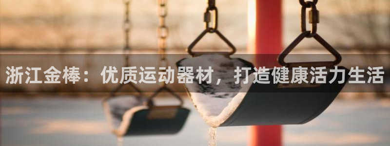 意昂体育3：浙江金棒：优质运动器材，打造健康活力生活