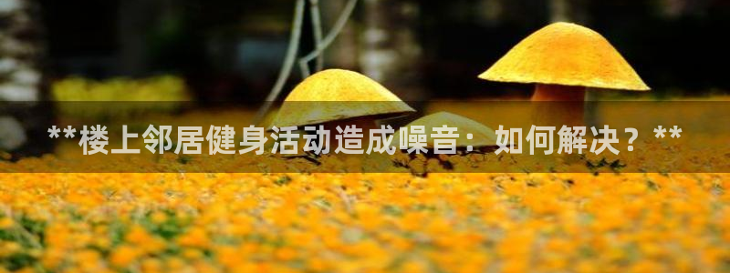 意昂体育3注册：**楼上邻居健身活动造成噪音：如何解决？**