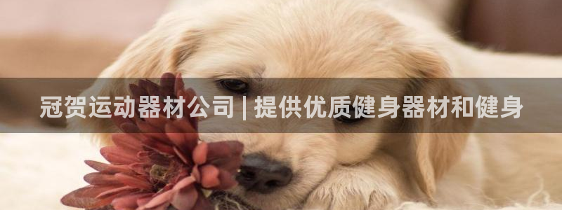 意昂3娱乐首页官网下载：冠贺运动器材公司 | 提供优