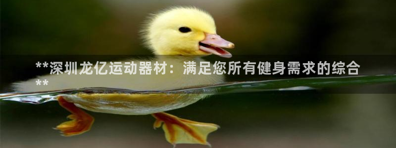 意昂3集团E.ON：**深圳龙亿运动器材：满足您所有