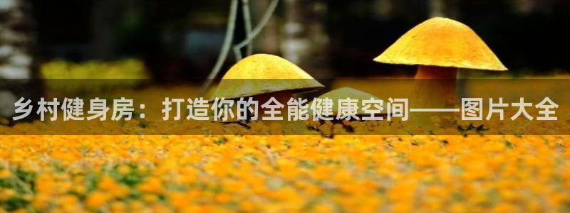 意昂体育3平台是正规平台吗：乡村健身房：打造你的全能