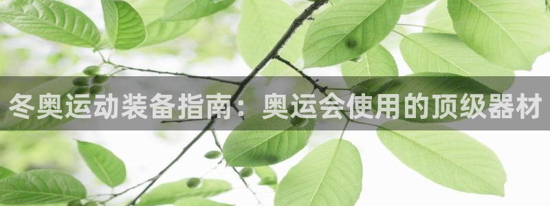 意昂体育3平台APP：冬奥运动装备指南：奥运会使用的
