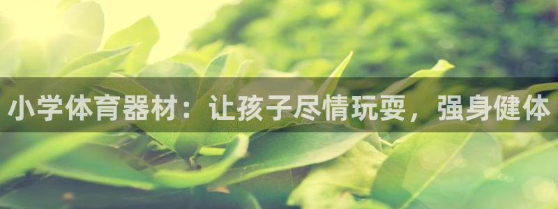 意昂体育3平台注册流程图：小学体育器材：让孩子尽情玩