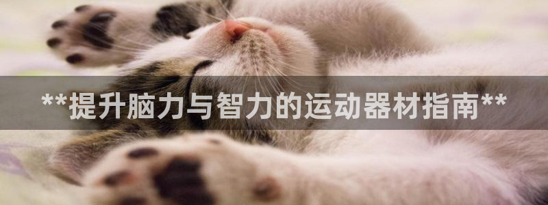 意昂体育3招商电话号码查询是多少：**提升脑力与智力