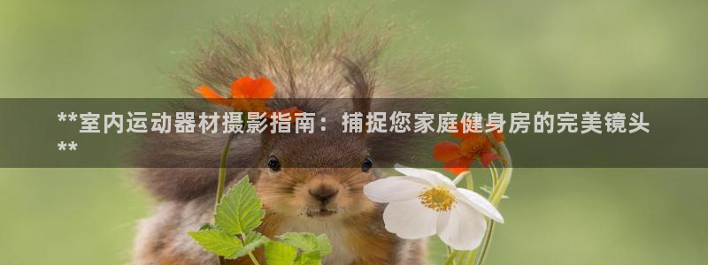 意昂体育3招商电话号码查询：**室内运动器材摄影指南