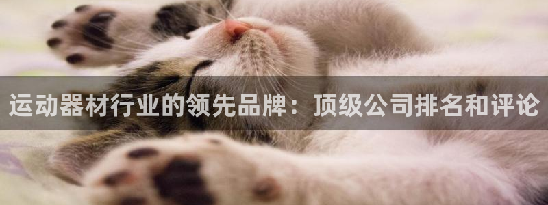 意昂体育3招商电话是多少：运动器材行业的领先品牌：顶